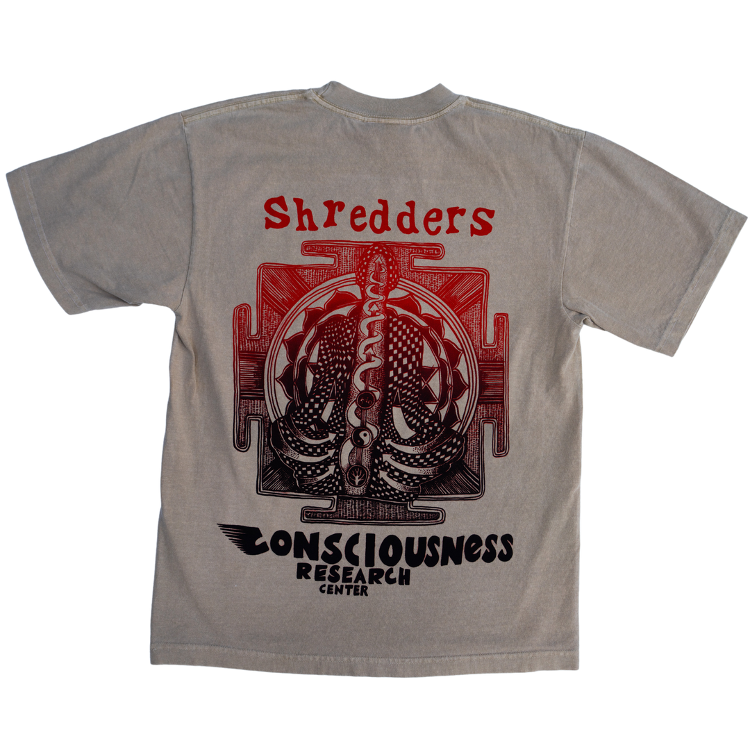 Consciousness Research Program