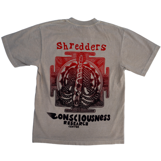 Consciousness Research Program