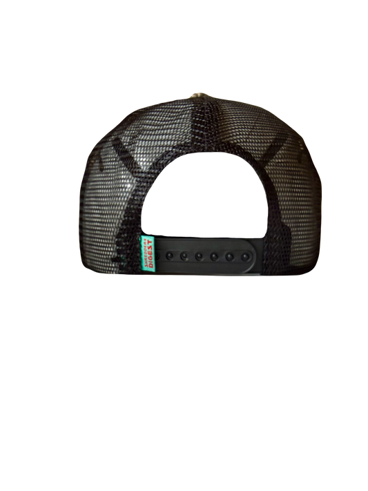 Shredders Digest Logo Hat